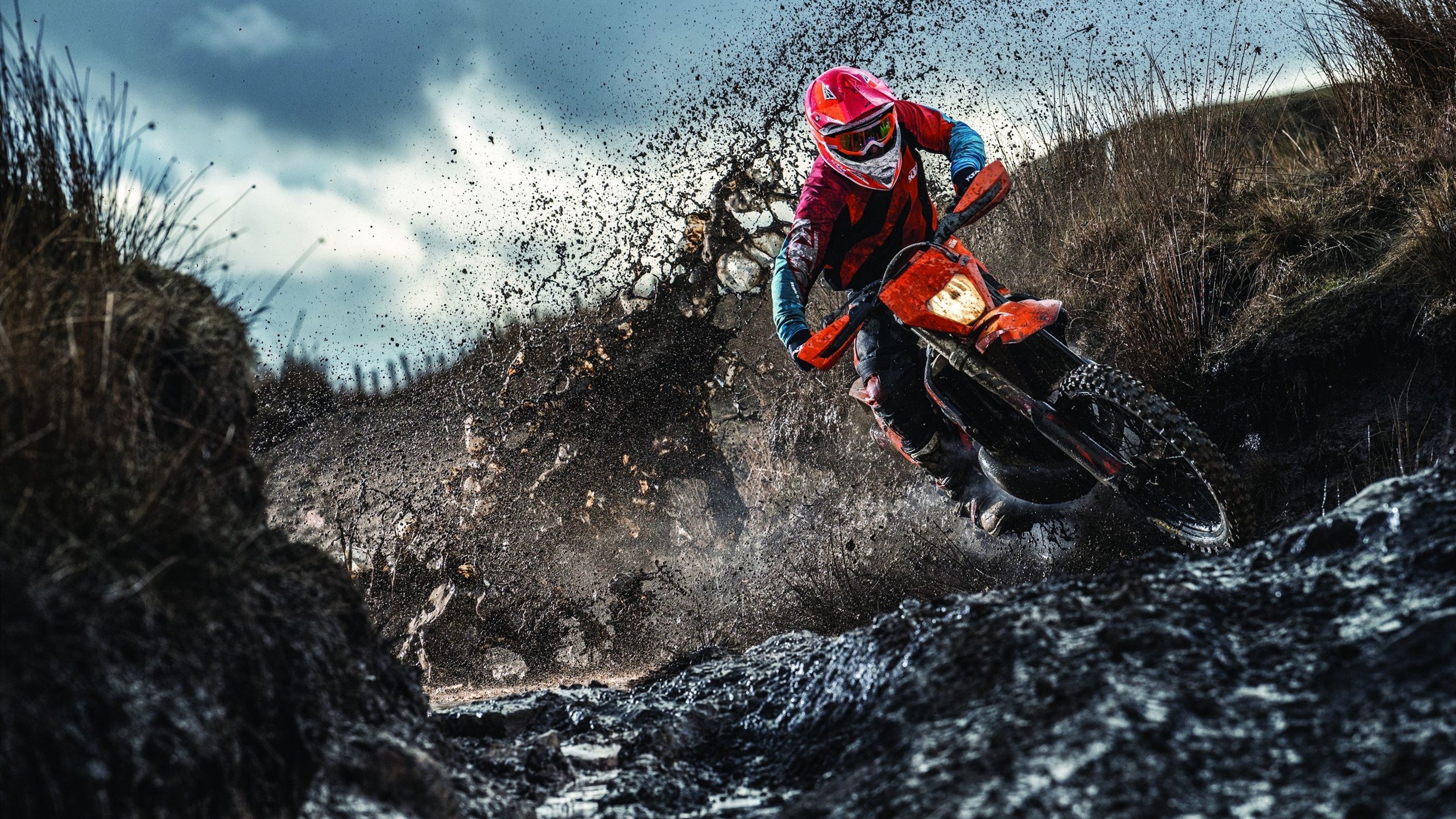 绝境逆转！上海队掀翻新疆，莫兰特状态火热成关键先生